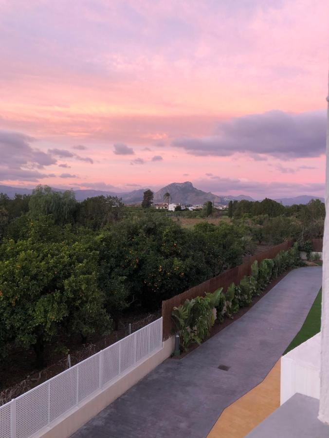 Sunny Apartment In Denia With Outdoor Swimming Pool And Garage Parking Place Included, 300M From The Sandy Beach المظهر الخارجي الصورة